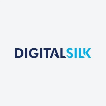 Digital Silk vue.js development company