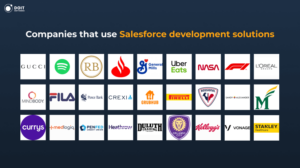 examples salesforce development company