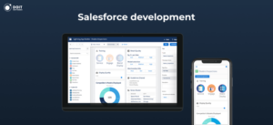 salesforce development company process