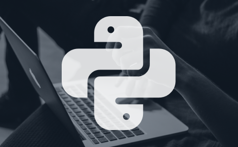 python development company reviews and ranking