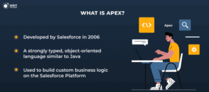 apex salesforce developer skills